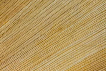 Coconut leaf plate diagonal