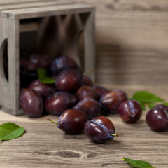 Ripe Plums in wooden box on wooden table