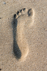 Footprint in the sand