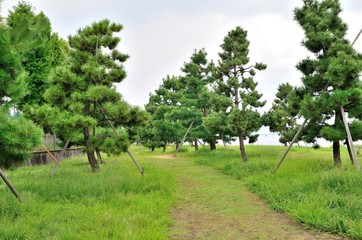公園