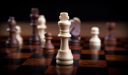 chess pieces lined up in a row on a gray