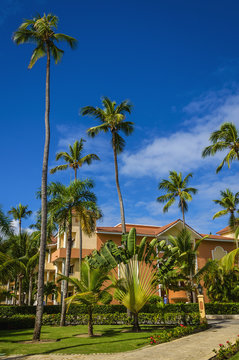 Amazing view of caribbean resort with exotil tall palm trees