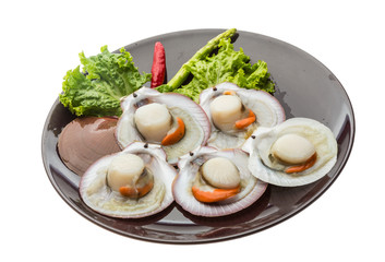 Raw fresh scallop