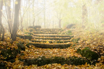 Herbst, Treppe im Nebel, Weg nach oben