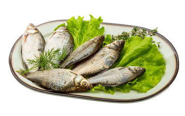 Crucian fish
