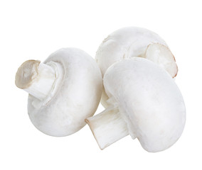 Champignon mushrooms isolated on white background