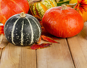 Pumpkins  with fall leaves and  flowers