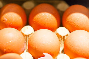kitchen - to crack an egg