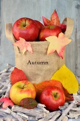 Tapeten Jute zak met appels en herfstbladeren © trinetuzun