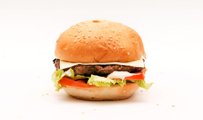 hamburger on the white