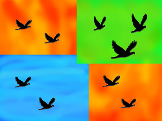 Die vier Elemente