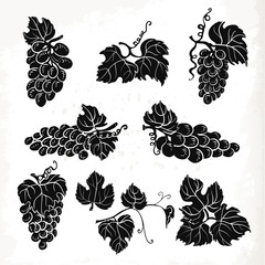 Collection of silhouette grapes, leaves and branches