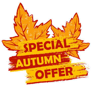 special autumn offer with leaves, orange and brown drawn label