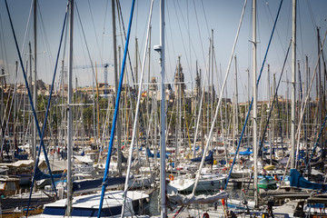 a huge wood of vessel masts in the harbor of Barcelona, Spain