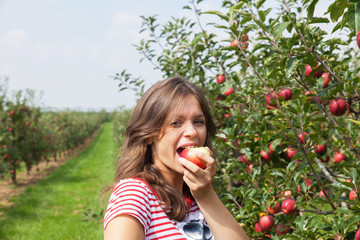 woman apple orchard