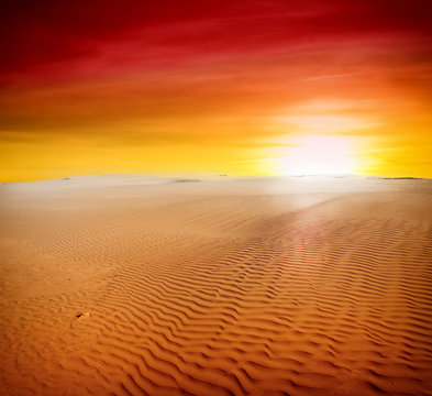 Sand dunes at sunset in the Sahara Desert