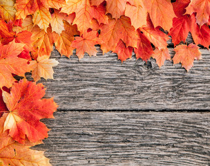 Naklejka na ściany i meble Autumn leaf on wooden boards background