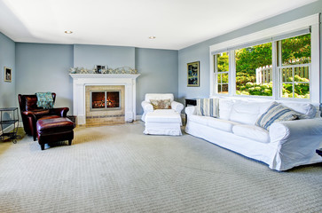 Light blue living room with white sofa and fireplace