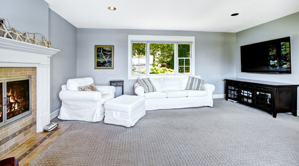 Light blue living room with white sofa and fireplace