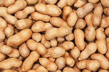 Dry roasted peanuts.