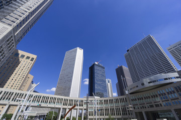 Fototapeta premium 快晴青空 東京都庁から新宿高層ビル街を望む