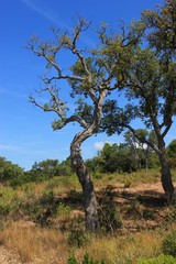 Décor méditérranéen.