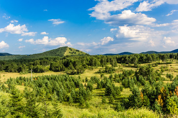 green field and blue sky