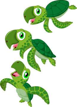 Cartoon sea turtle