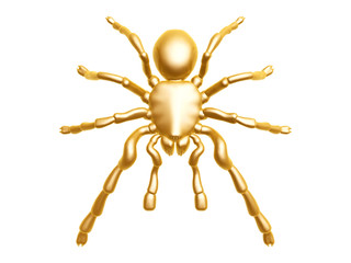 golden spider