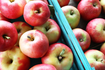 Juicy apples in box, close-up