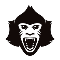 vector head of monkey