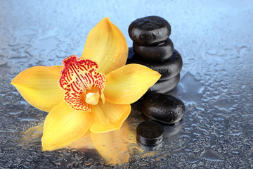 Yellow tropical orchid flower and spa stones