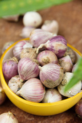 fresh organic garlic
