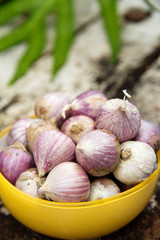 Close up of fresh organic garlic