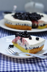 Healthy yogurt cake with blueberries, selective focus