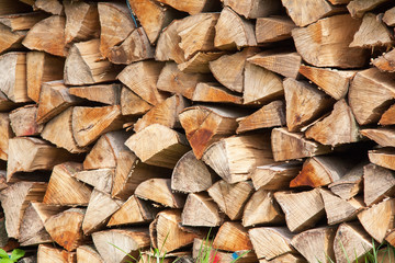 Fototapeta premium Bois de chauffage scié, empilé pour le séchage