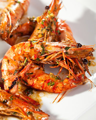 Tiger Prawn