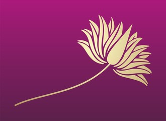 water lily , wedding card design, royal India