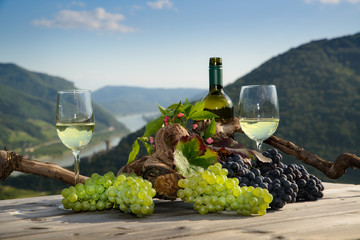 Weinlese Wachau