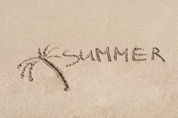 Palms and sand. Inscription on wet sand. Summer.