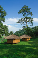 Fototapeta na wymiar Cottage in Thailand garden,hut in green meadow