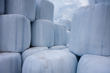 Bele sprasowanej słomy spakowane ułożone w stosy  © Mirek