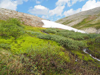 mountains in summer