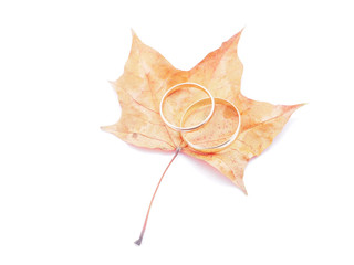 Naklejka premium wedding rings and dry maple leaf on a white background