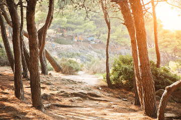 Path