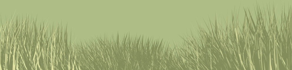 Obraz premium panorama trawy