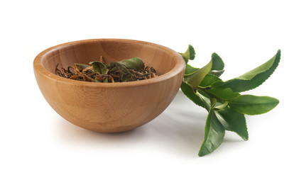 Tea branch with dried tea