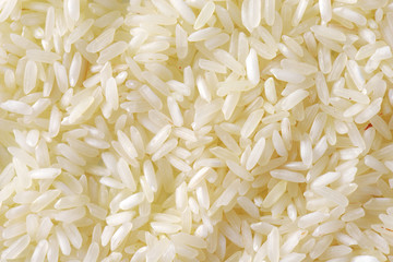 Jasmine rice