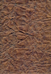 grunge texture - crumpled paper