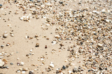 Small pebbles on sand beach closeup wetted by sea water